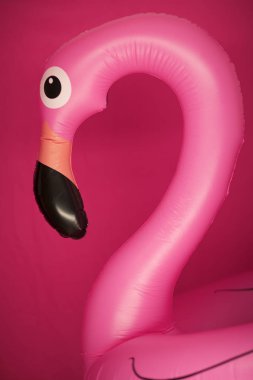şişme üzerinde pembe flamingo pink, arka plan olarak kullanılabilir.