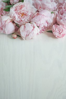 Düz beyaz tahta üzerinde güzel peonies ile kavramı yatıyordu, arka plan olarak kullanılabilir