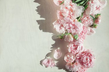 Düz beyaz tahta üzerinde güzel peonies ile kavramı yatıyordu, arka plan olarak kullanılabilir