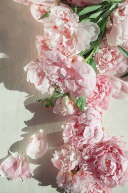Düz beyaz tahta üzerinde güzel peonies ile kavramı yatıyordu, arka plan olarak kullanılabilir