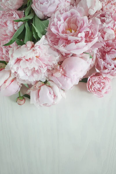 Concept Pose Plate Avec Belles Pivoines Sur Bois Blanc Peut — Photo