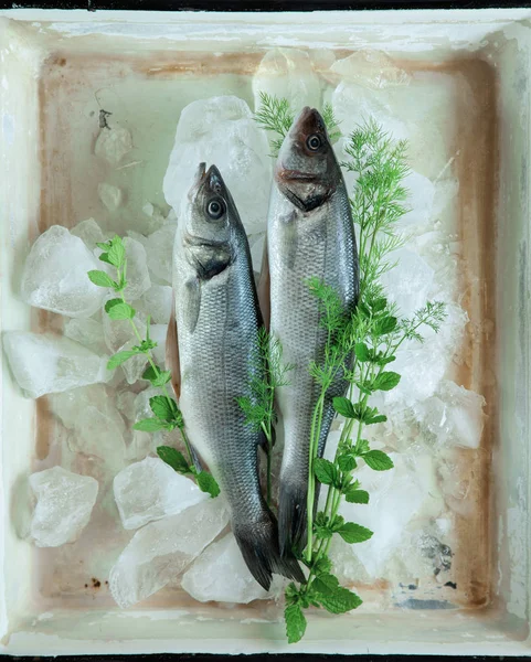 Fresh Sea Bass Whole Herbs Ice Rustic Food Photography Vintage — Stock Photo, Image
