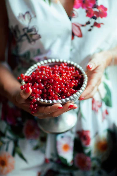 Woman Hands Holding Bowl Currants Close Can Used Background — Stock Photo, Image