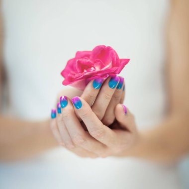 Güzel bir kadın ile mükemmel mor pembe eller ve turkuaz oje pembe güller, holding arka plan olarak kullanılabilir 