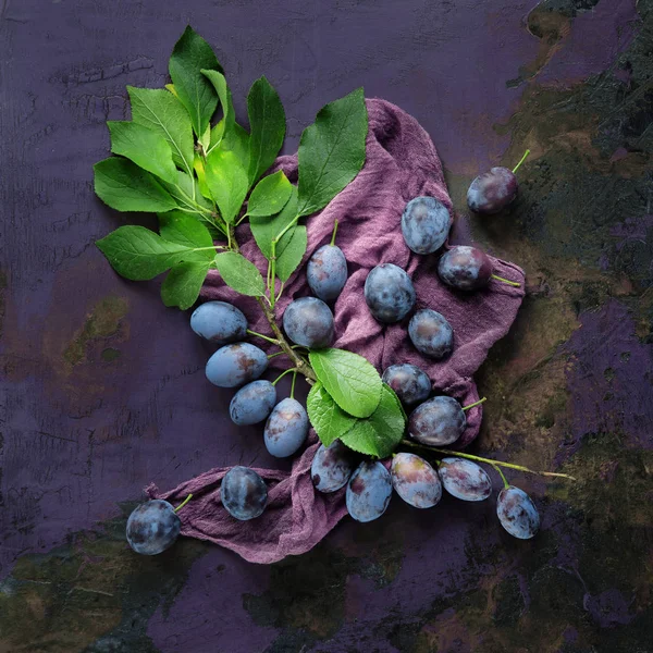 Fresh Tasty Plums Branch Garden Decorated Violet Purple Background Leaves — Stock Photo, Image