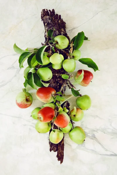 ぼろぼろのシックなプレート上の枝に新鮮な緑と赤のリンゴが背景としても使えます — ストック写真