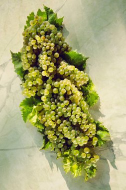 Taze beyaz ve kırmızı üzüm ışık shabby chic arka plan üzerine dekore edilmiştir. 