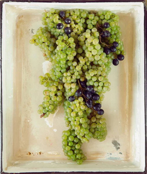 Uvas Blancas Rojas Frescas Decoradas Sobre Fondo Chic Liviano —  Fotos de Stock