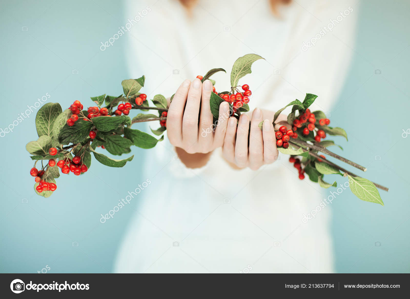 Woman Hands Close Holding Christmas Decoration Branch Red Berries