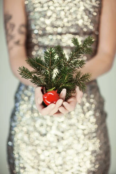 Kvinna Händer Närbild Håller Jul Dekoration Pine Gren Framför Vacker — Stockfoto