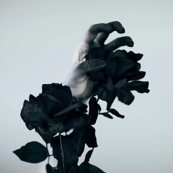 Creepy Halloween woman monster hand with white and black make up holding black rose in front of white background