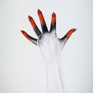 Korkunç Halloween canavar cadı el ile beyaz, kırmızı ve siyah makyaj ve uzun tüyler ürpertici tırnakları ve beyaz arka plan önünde spiderweb