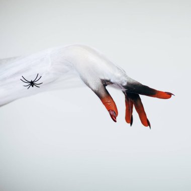 Korkunç Halloween canavar cadı el Beyaz, kırmızı ve siyah makyaj ve uzun tüyler ürpertici tırnakları ve örümcek spiderweb beyaz arka plan önünde ile 
