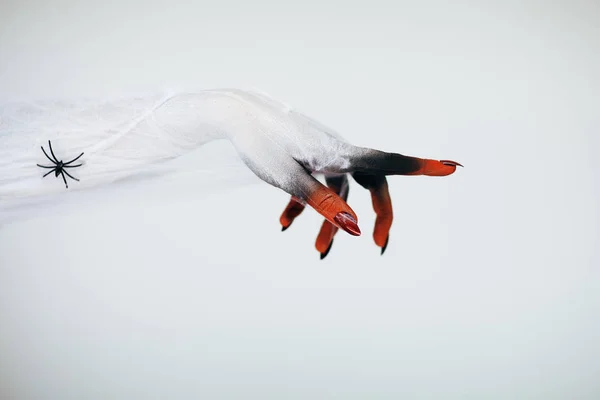 빨간색과 검은색 메이크업 손톱과 거미줄과 거미와 할로윈 — 스톡 사진
