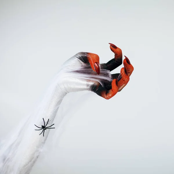 Creepy Halloween monster witch hand with white, red and black make up and long creepy fingernails and spider with spiderweb in front of white background