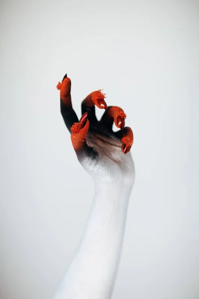 黒のメイクアップと白い背景の前に長い不気味な爪不気味なハロウィーン モンスター魔女の手 — ストック写真
