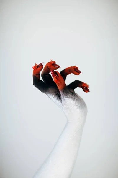 Creepy Halloween monster witch hand with white, red and black make up and long creepy fingernails in front of white background