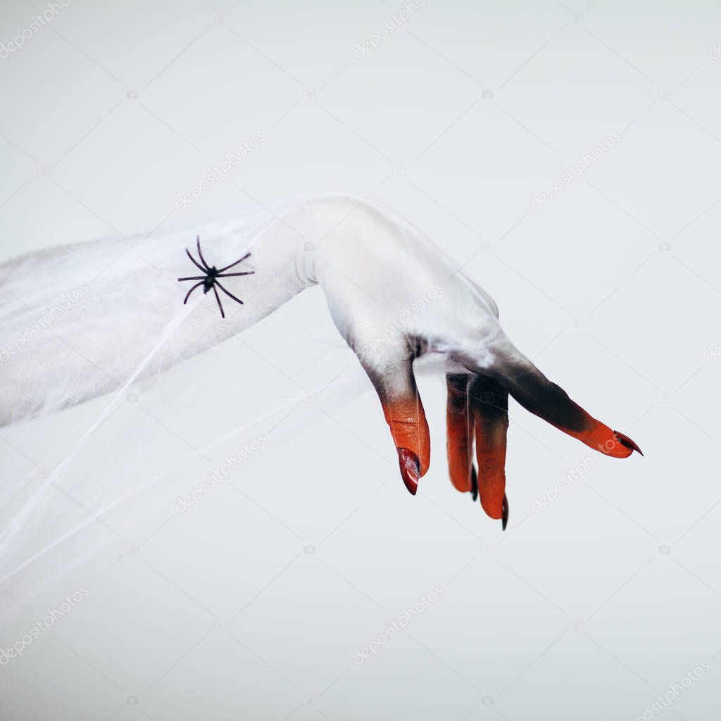 Creepy Halloween monster witch hand with white, red and black make up and long creepy fingernails and spider with spiderweb in front of white background 