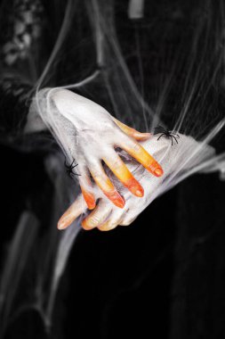 Örümcek ağı ile yeşil ve beyaz ürpertici Halloween el, siyah arka planda zombi el