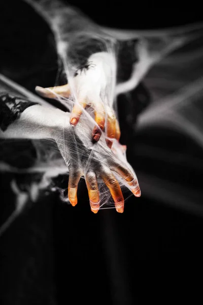 Creepy halloween hand in green and white with spider web, zombie hand on black background