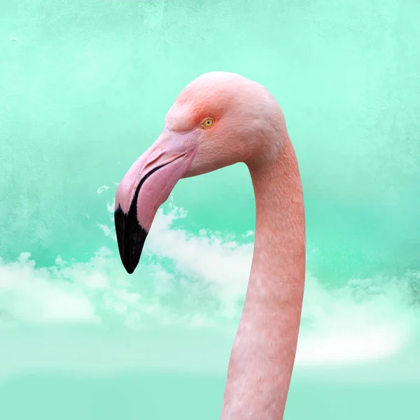 Grappige Heldere Roze Flamingo Voor Turquoise Wolkenhemel Kunnen Als Achtergrond — Stockfoto