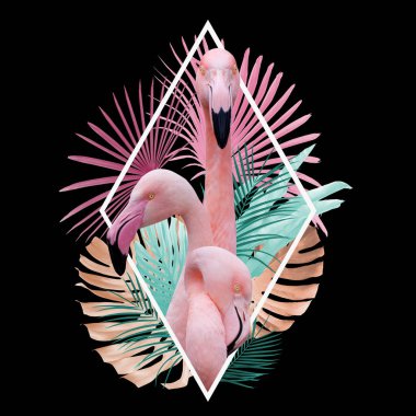 Tropikal yaprakları flamingo tasarım açık pembe, altın, siyah turkuaz, arka plan olarak kullanılabilir, duvar kağıdı 