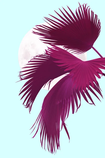 Tropiska Rosa Palmblad Med Månen Abstrakt Bakgrund — Stockfoto