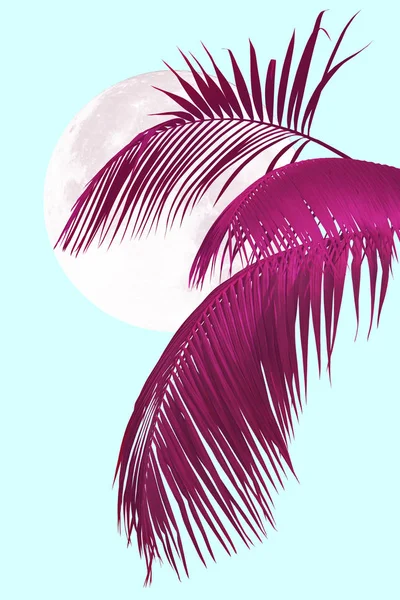 Tropische Rosa Palmblätter Mit Mond Abstrakten Hintergrund — Stockfoto