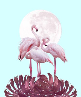 pembe ve turkuaz renklerde ay ve flamingo arka plan tasarımı, arka plan olarak kullanılabilir, duvar kağıdı