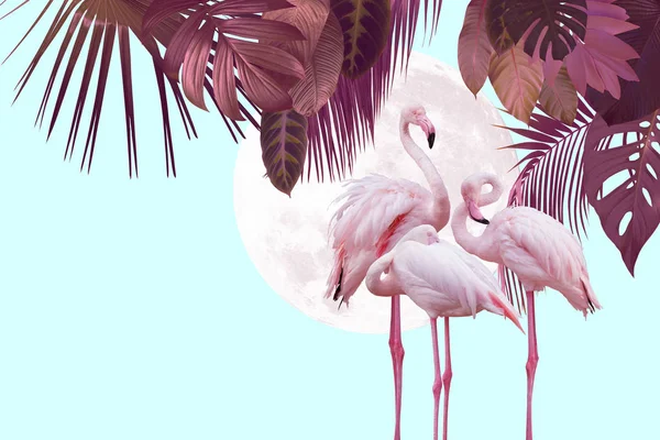 Дизайн Фона Луны Фламинго Тропическими Листьями Использован Качестве Фона Обои — стоковое фото
