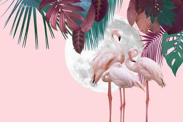 Hold Flamingó Háttér Tervez Val Trópusi Levél Lehet Használt Mint Jogdíjmentes Stock Fotók