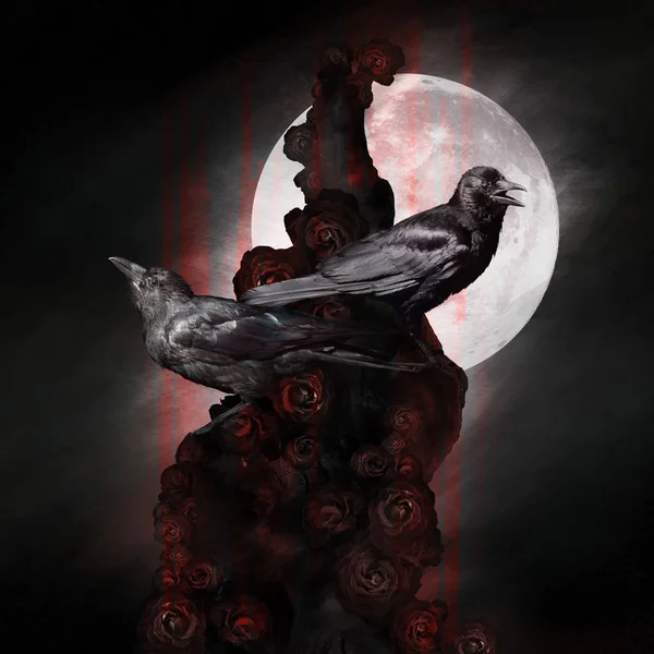 Two Crows Ravens Sitting Dead Tree Roses Dark Gothic Romantic — Stock Photo, Image