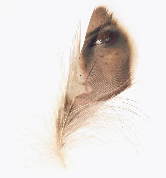 Beautiful Woman Feather Double Exposure Overlay Can Used Background — Stock Photo, Image