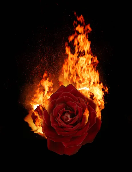 Hořící Červená Růže Tmavá Atmosférická Nálada Fantasy Pozadí — Stock fotografie