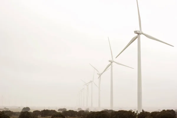 Windturbines Een Mistige Koude Dag Rechtenvrije Stockafbeeldingen