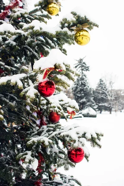 花輪やライトで雪に覆われたクリスマス ツリーの一部 ストック画像