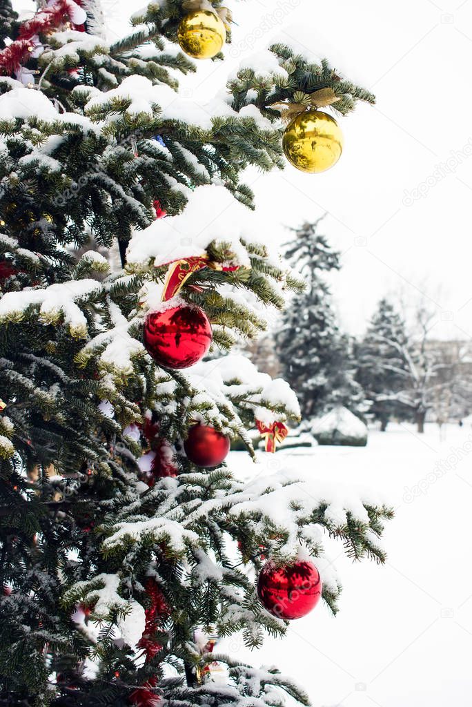 Part of snow-covered Christmas tree with decoration, garlands and lights