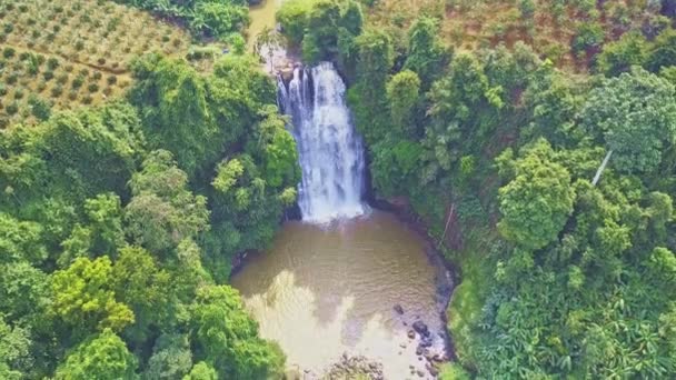 Drone Mostra Bela Cachoeira Distante Cercada Por Plantações Café Selva — Vídeo de Stock