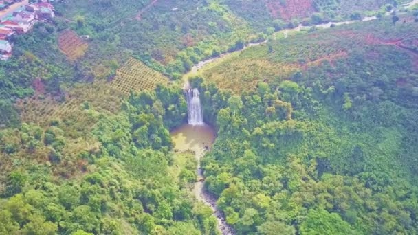 Şelale Yemyeşil Orman Arasında Sınırsız Tropikal Yayla Yatay Fantastik Hava — Stok video