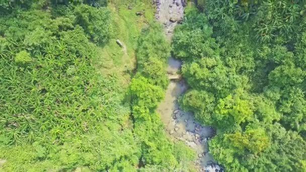 Drone Moves Narrow Fast Mountain River Running Lush Tropical Forest — Stock Video