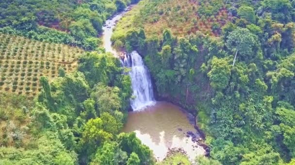 Drone Vista Montanha Rio Acaba Por Cachoeira Espumosa Entre Plantações — Vídeo de Stock