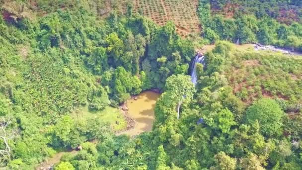 图片上部高地全景与瀑布在绿色丛林和咖啡种植园与树线在晴朗的天 — 图库视频影像