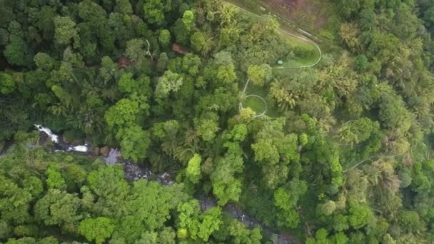 Високий вигляд на повітря високогір'я з ущелиною в джунглях — стокове відео