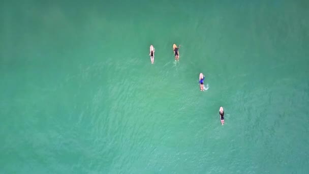 Incredible Bird Eye Flight Distant Surfer Figures Lying Surfboards Boundless — Stock Video