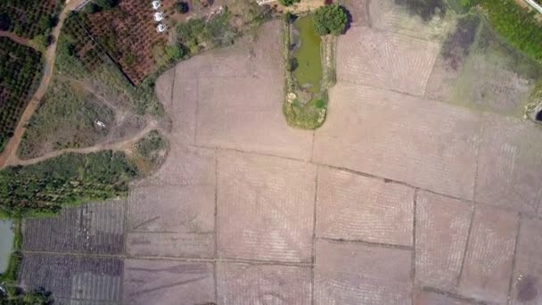 Picturale Hoge Vlucht Bruin Geploegd Velden Groene Plantages Tuinen Huizen — Stockvideo