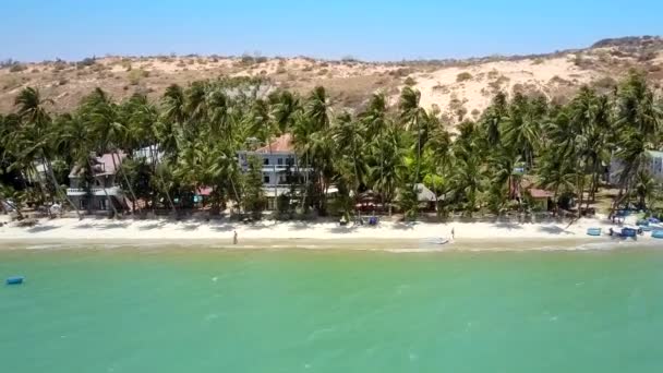 图片全景长和宽沙子海滩在山附近高棕榈树排列 — 图库视频影像