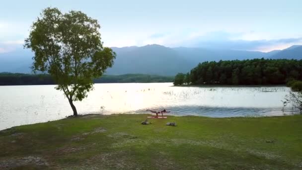 Камера движется к девушке, принимающей позу йоги у большого дерева — стоковое видео
