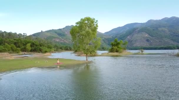 Beweging aan dame zittend op boom op lake bank — Stockvideo