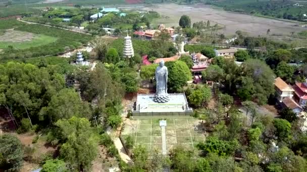 Κηφήνας που υψώνεται πάνω από το άγαλμα του Βούδα μεταξύ τοπίο — Αρχείο Βίντεο