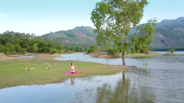 Junge Frau meditiert auf Matte vor grüner Landschaft — Stockvideo